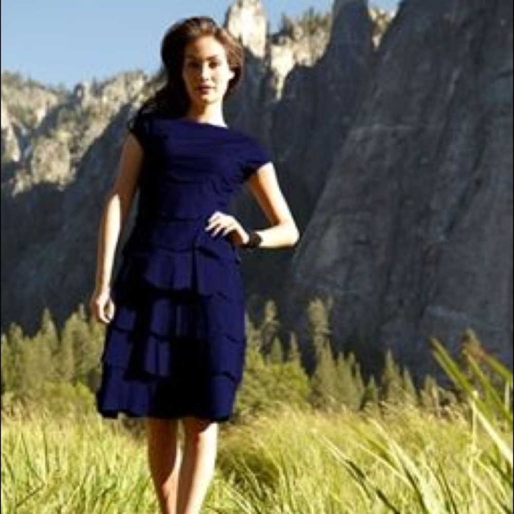 Shabby Apple Navy Ruffle Dress